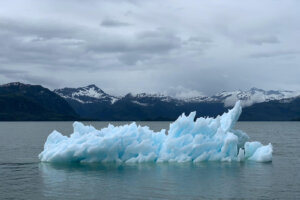 cambio climático- Ice floating