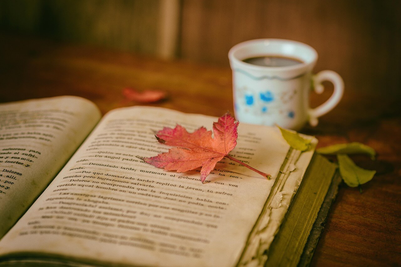 leaves, coffee, cup, still life, book, nature, coffee cup, reading, leisure, hobby, read, open book, bookworm