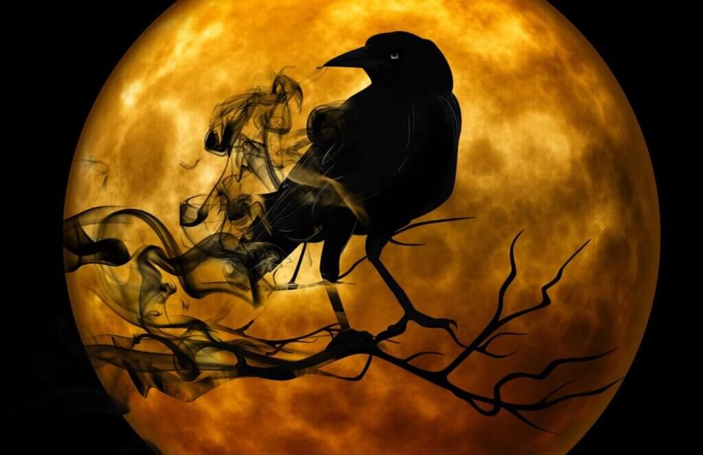 Halloween crow, night, gruesome, darkness, mystical, grim, moonlight, scary, mood, the atmosphere, mysterious, horror, fear, halloween, terrifying, crow, crow, horror, horror, horror, horror, halloween, halloween, halloween, halloween, halloween